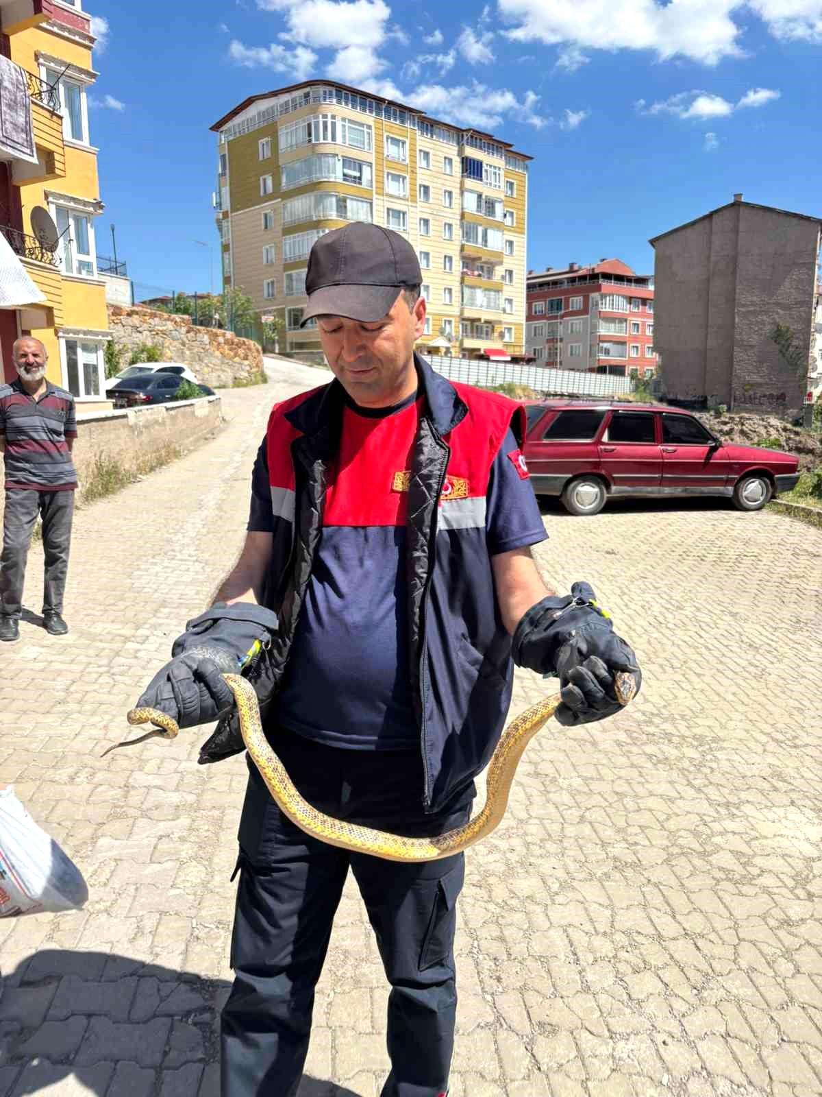 Yozgat\'ta otomobile giren yılanı itfaiye ekipleri çıkardı