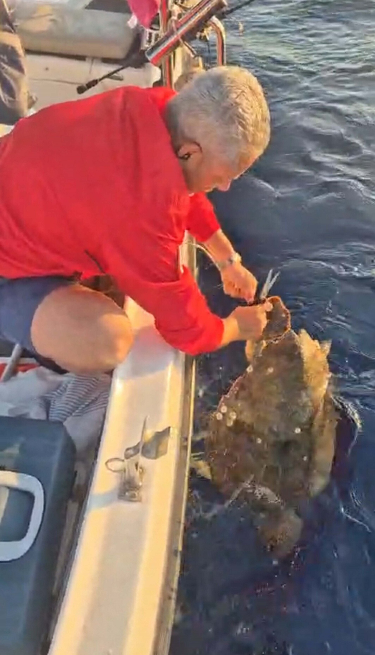 Deniz Kaplumbağası Amatör Balıkçılar Tarafından Kurtarıldı