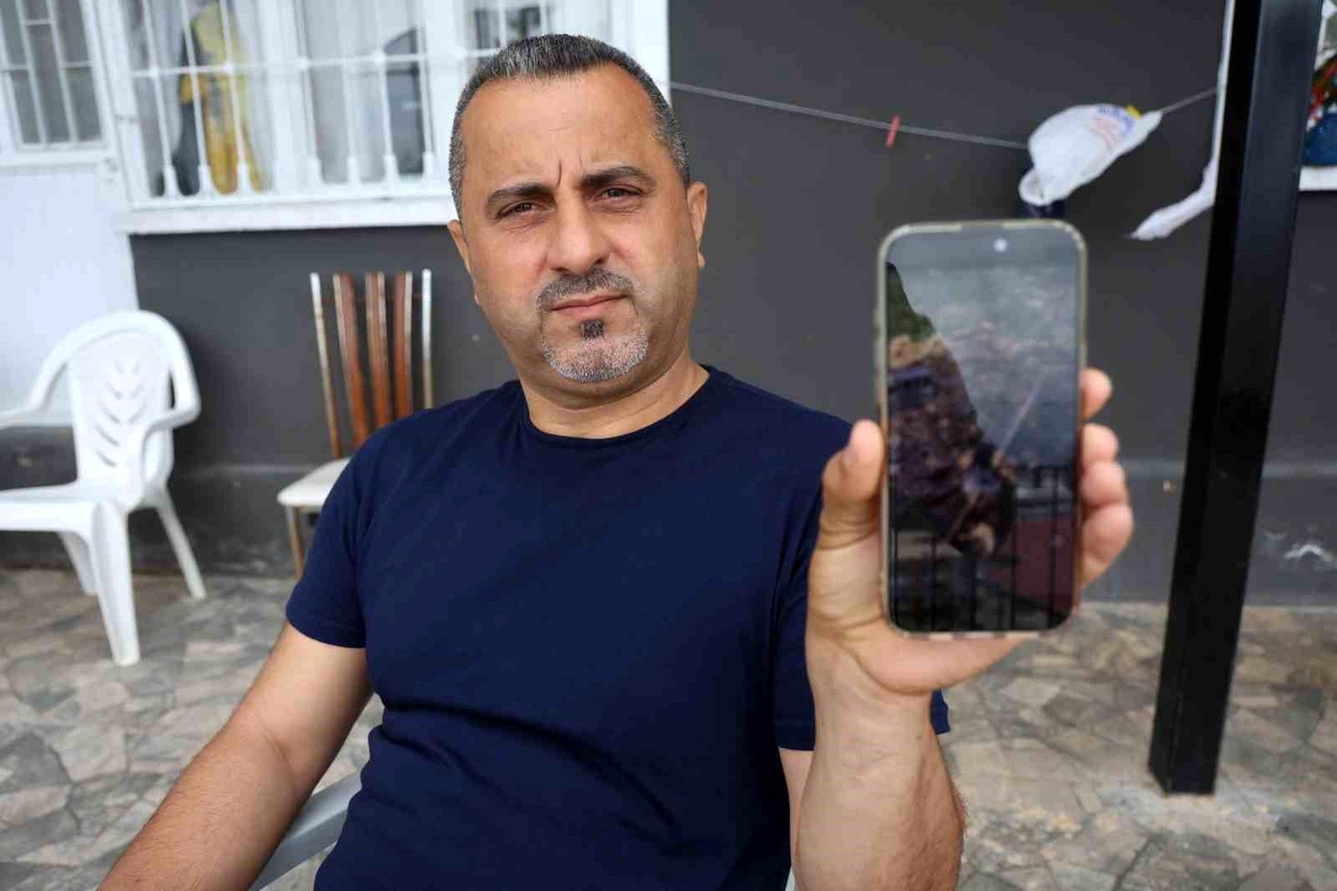 Yener Dalgıç\'ın Kirpi Kurtarma Anları