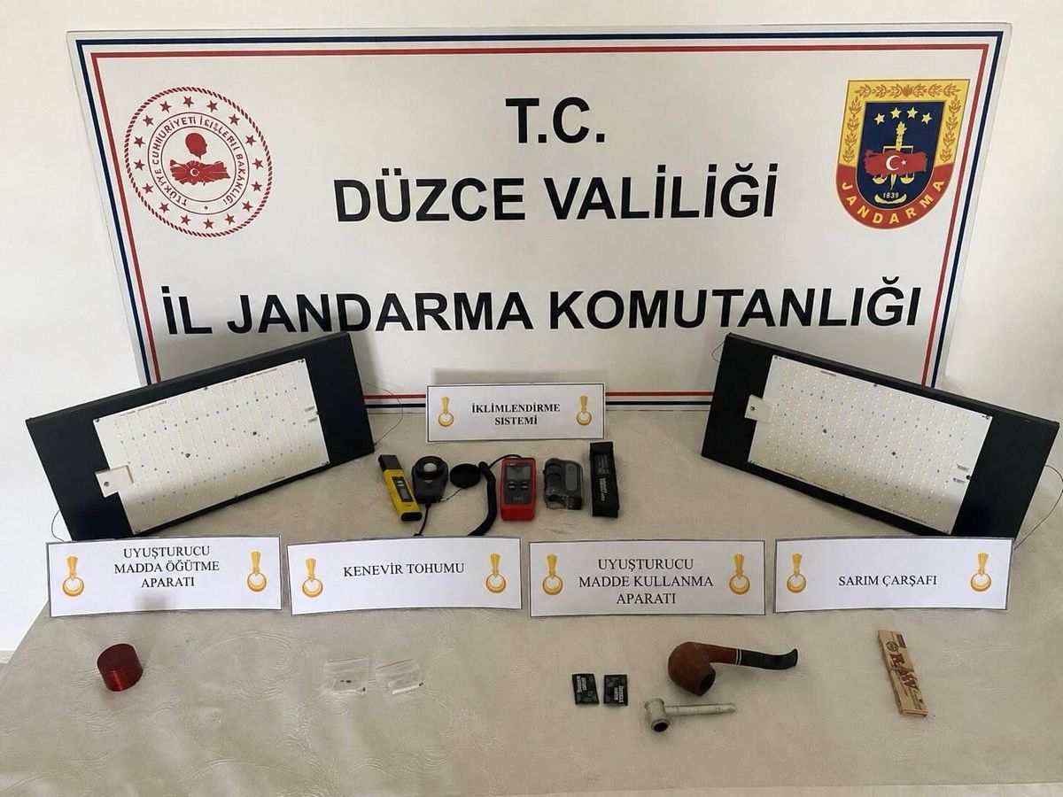 Düzce\'de Yasadışı Kenevir Ekimine Operasyon