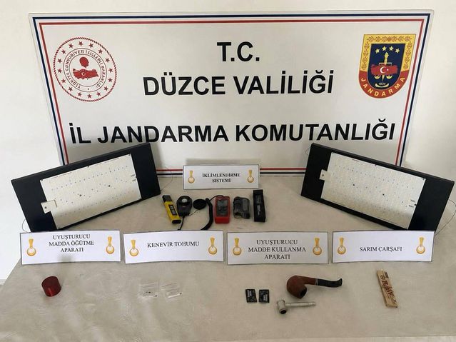 Düzce'de Yasadışı Kenevir Ekimine Operasyon