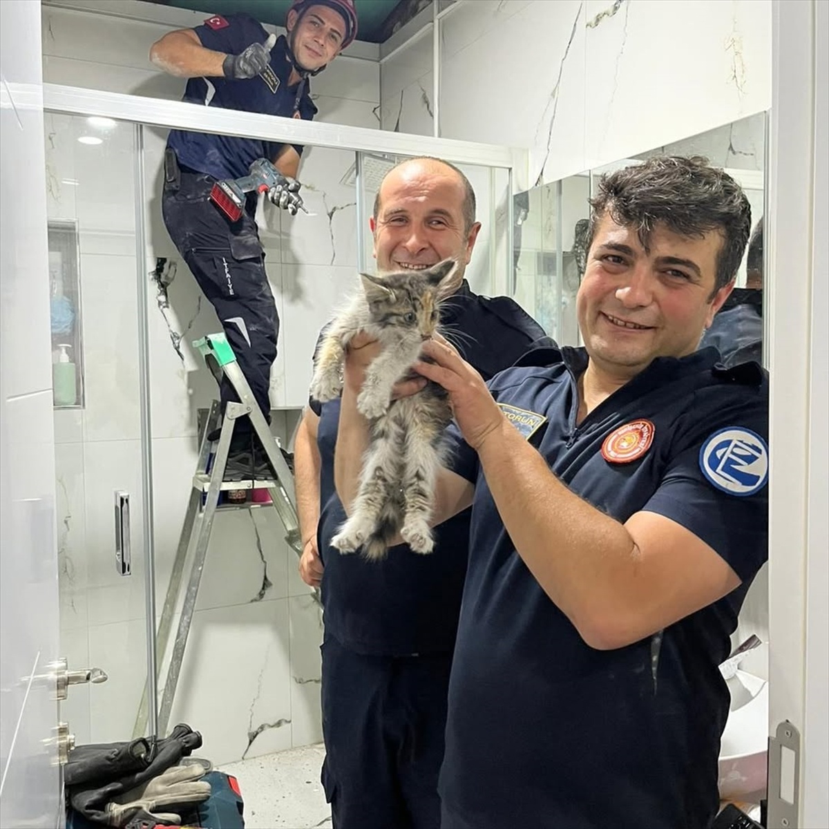 Düşen Kedi İtfaiye Ekipleri Tarafından Kurtarıldı