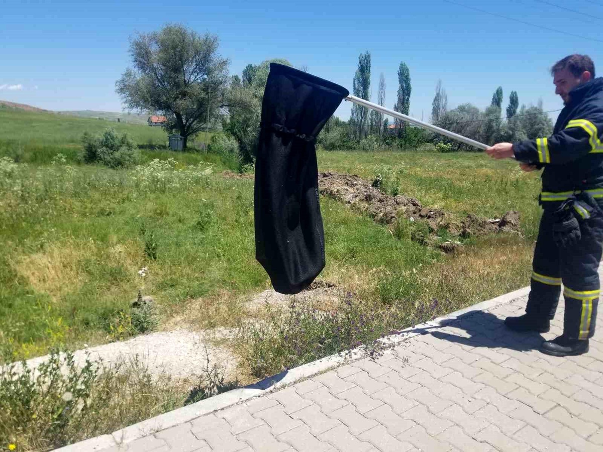 Eve giren yılanı itfaiye yakaladı
