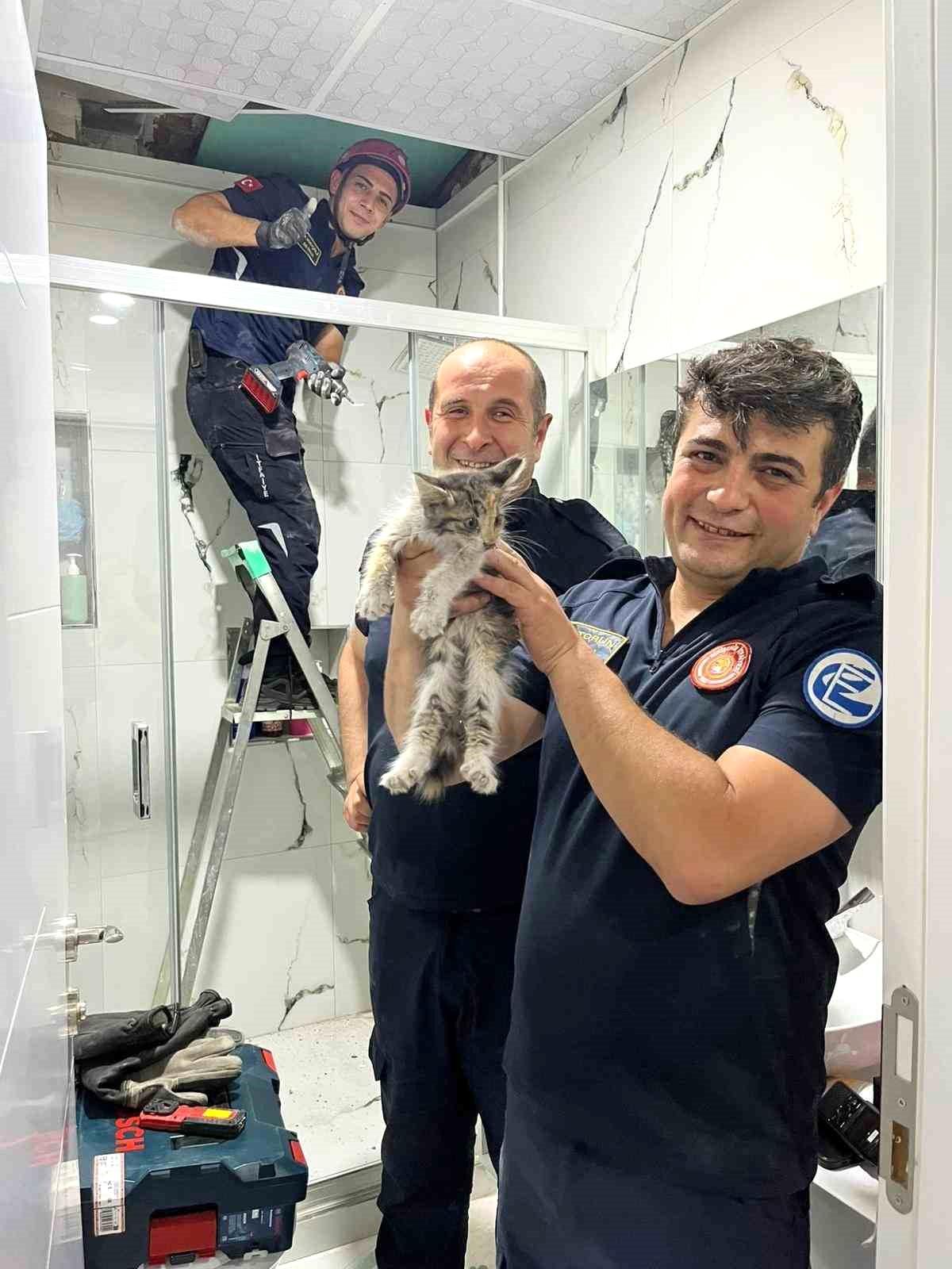 Havalandırma boşluğunda mahsur kalan kediyi itfaiye kurtarıldı