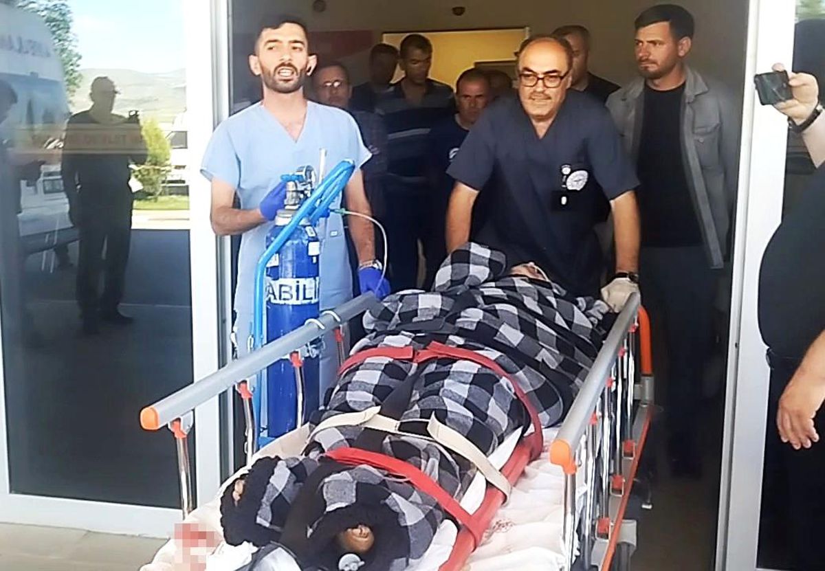 Ayı Saldırısında Kangal Köpekleri Kurtardı