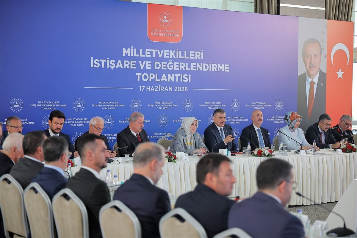 Sahipsiz Hayvanlar İçin Hedef: Yıl Sonu