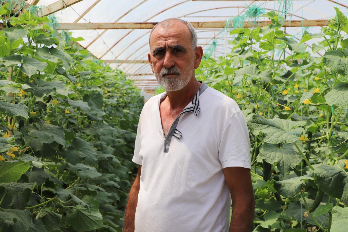 İzmir Salatalık Üretiminde Üçüncü Sıra
