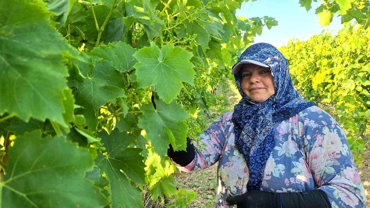 Sarıgöl\'de İmece ile Üretim
