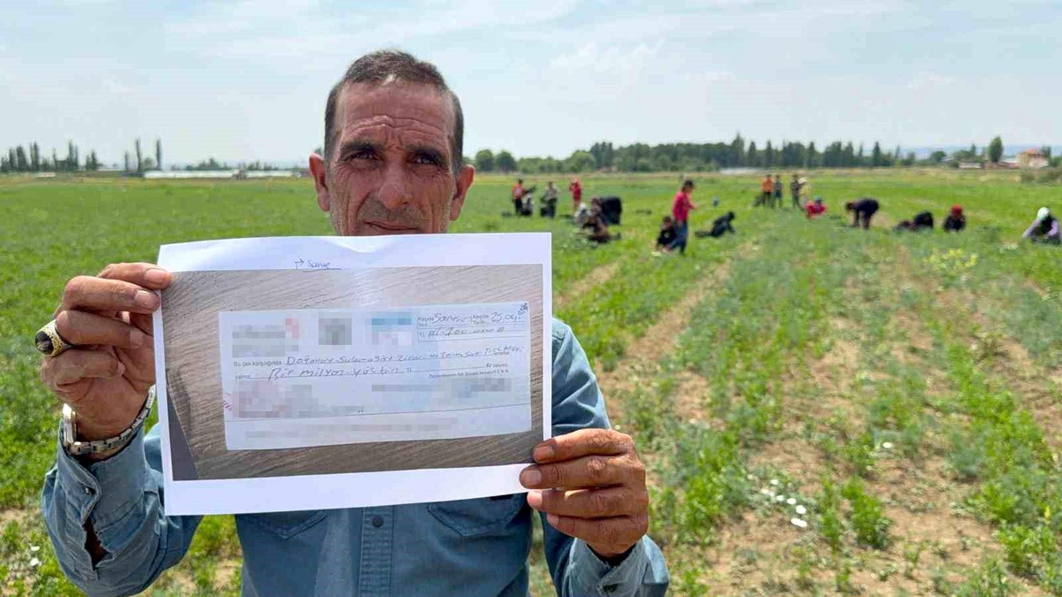 Mevsimlik Tarım İşçileri Mağdur