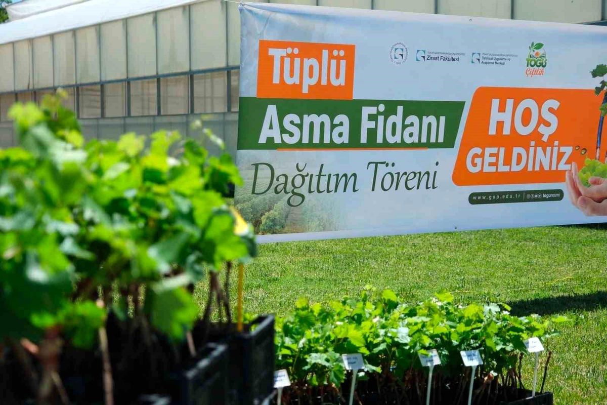 TOGÜ\'den üreticiye bağcılık desteği