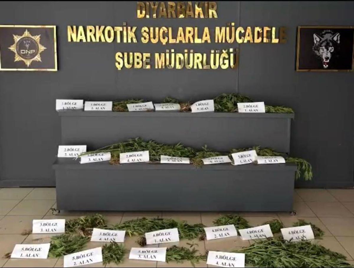 Diyarbakır\'da Kenevir Operasyonu