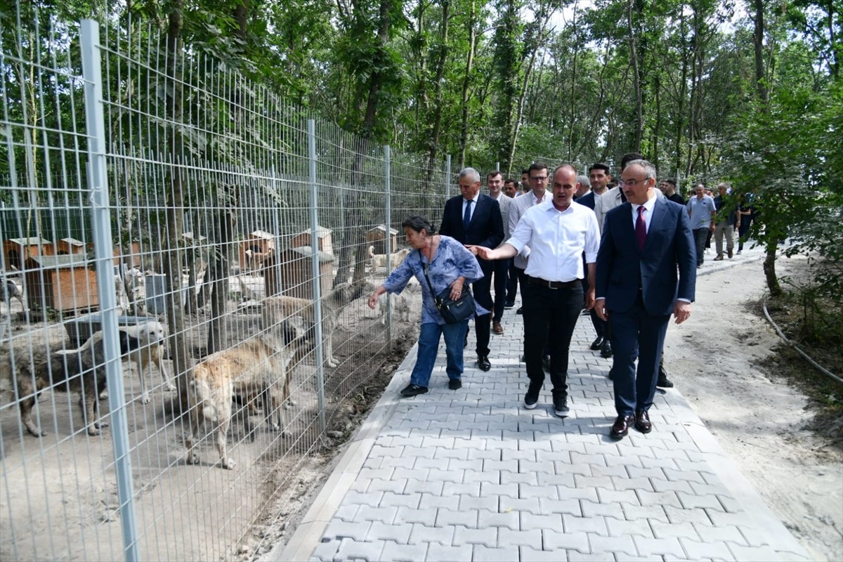 Vali Soytürk, Hayvan Bakım Merkezini Ziyaret Etti