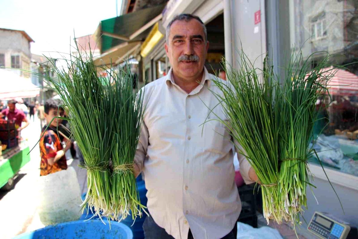 Van\'da Şifalı Otlar Sezonu Uzadı