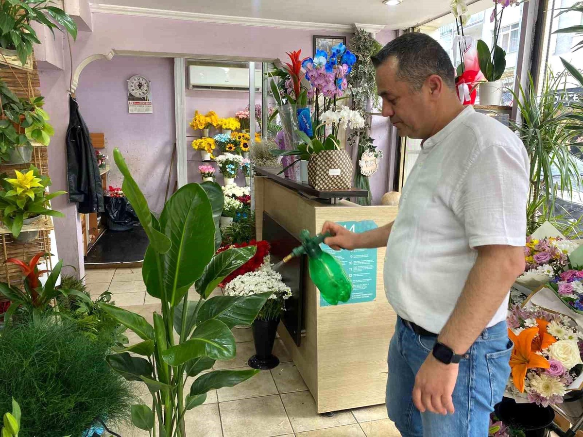 Yaz Aylarında Tropikal Bitki Tercihi