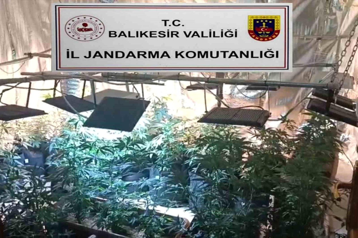 Balıkesir\'de Uyuşturucu Operasyonu: 12 Gözaltı
