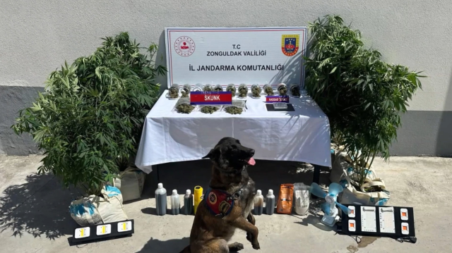 45 ilde Narko Pars operasyonu! 352 şüpheli yakalandı