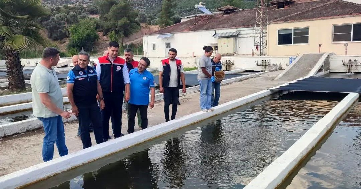 Bozdoğan\'da Su Ürünleri Üretimi 3.696 Ton