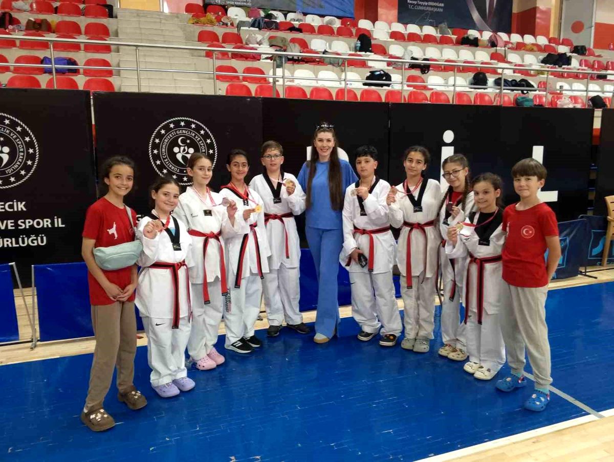 Bozüyük Taekwondo Başarıları