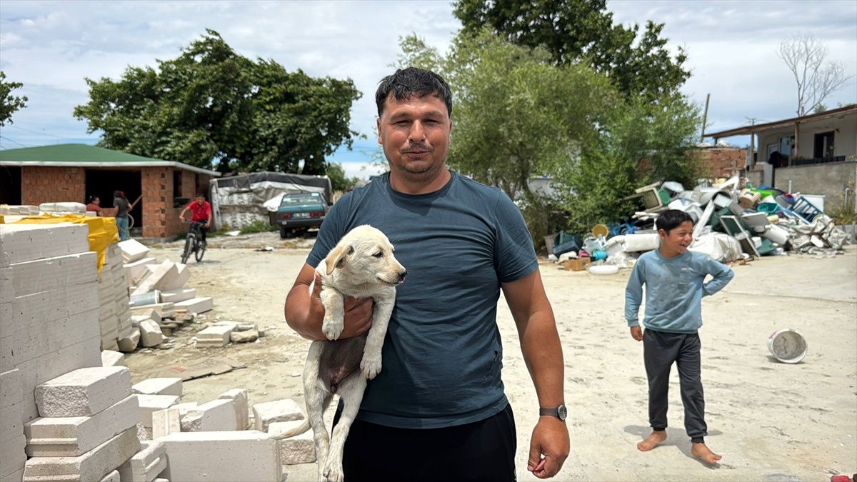 Rögar Düşen Yavru Köpek Kurtarıldı