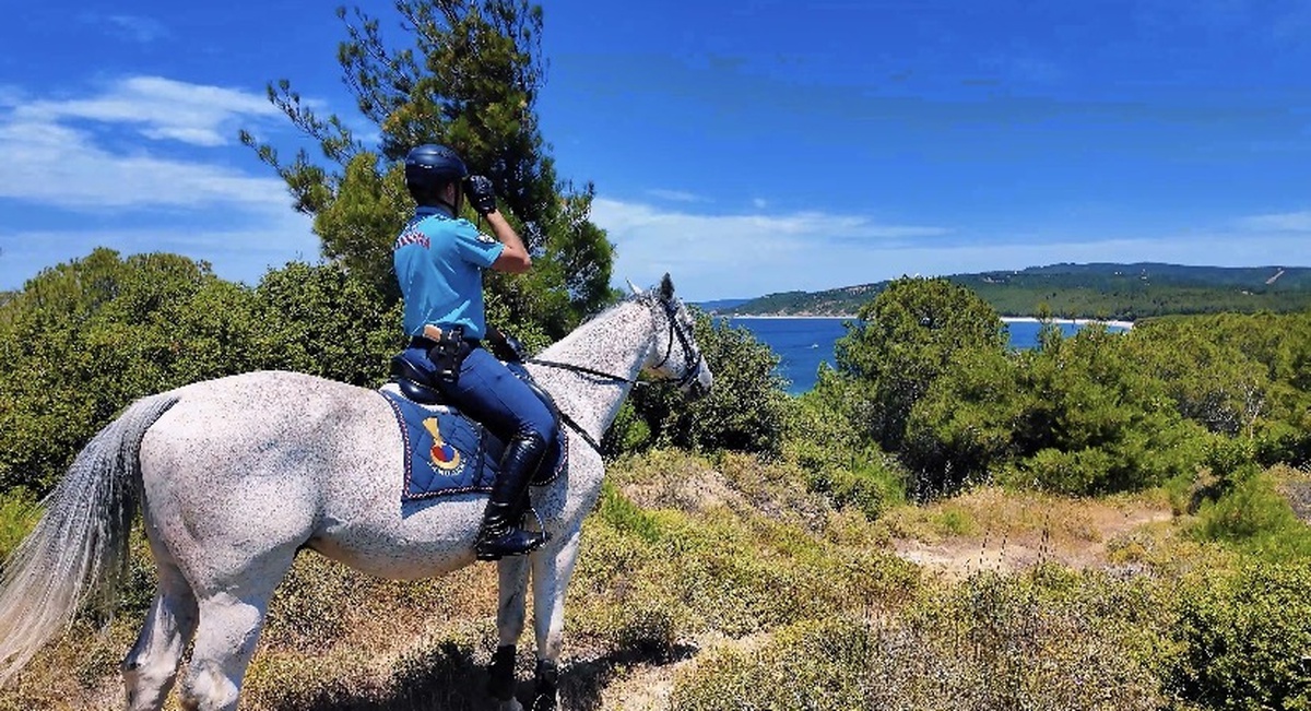 Çanakkale\'de Orman Yangını Denetimi