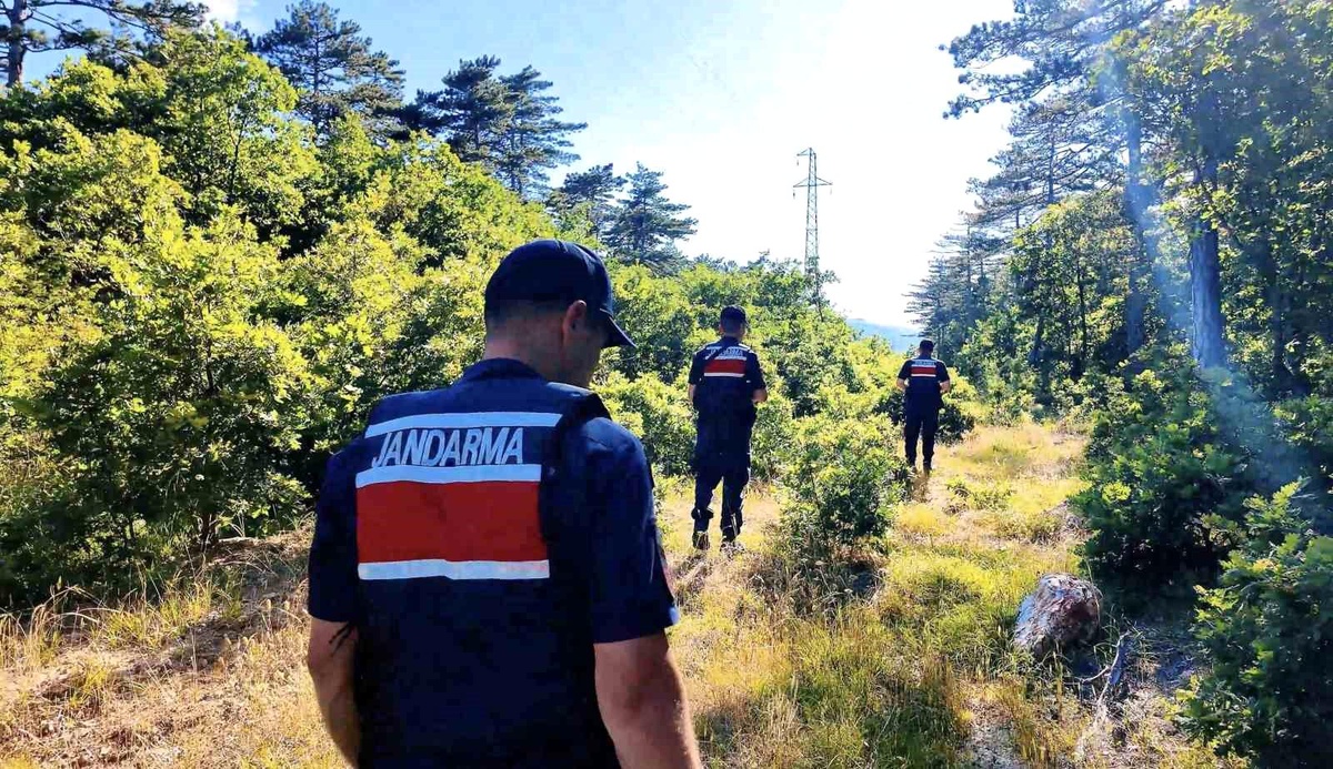 Çanakkale\'de Orman Yangınlarına Karşı Denetimler Sürüyor