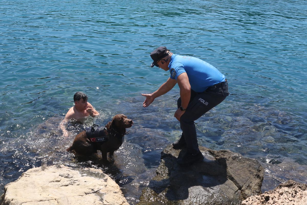 Miço: Deniz Polisi\'nin Kahraman Köpeği