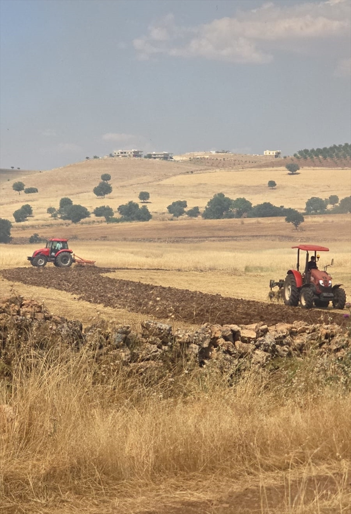 Diyarbakır\'da Anız Yangınına Müdahele