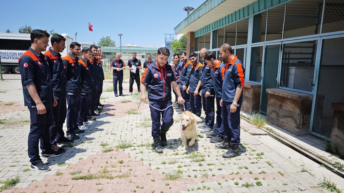 Köpük: 9 Yaşında Kahraman Arama Kurtarma Köpeği