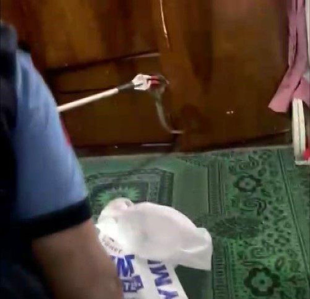 Gaziantep\'te evde yılan paniği