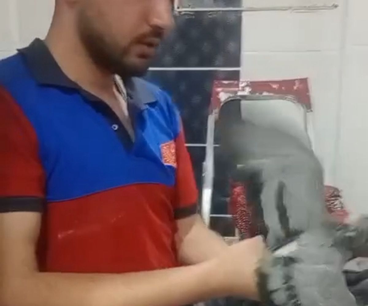 Havalandırma Boşluğundaki Güvercin Kurtarıldı
