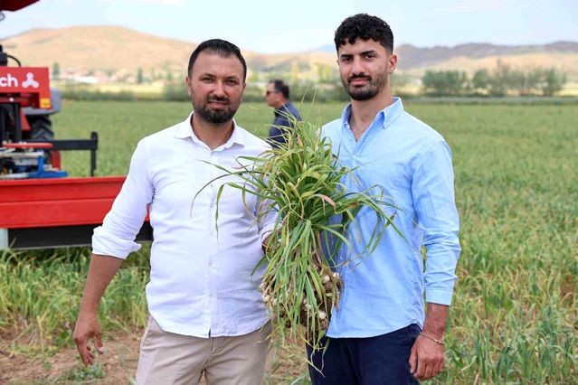 Aksaray Sarımsağına İspanyol Yatırımı