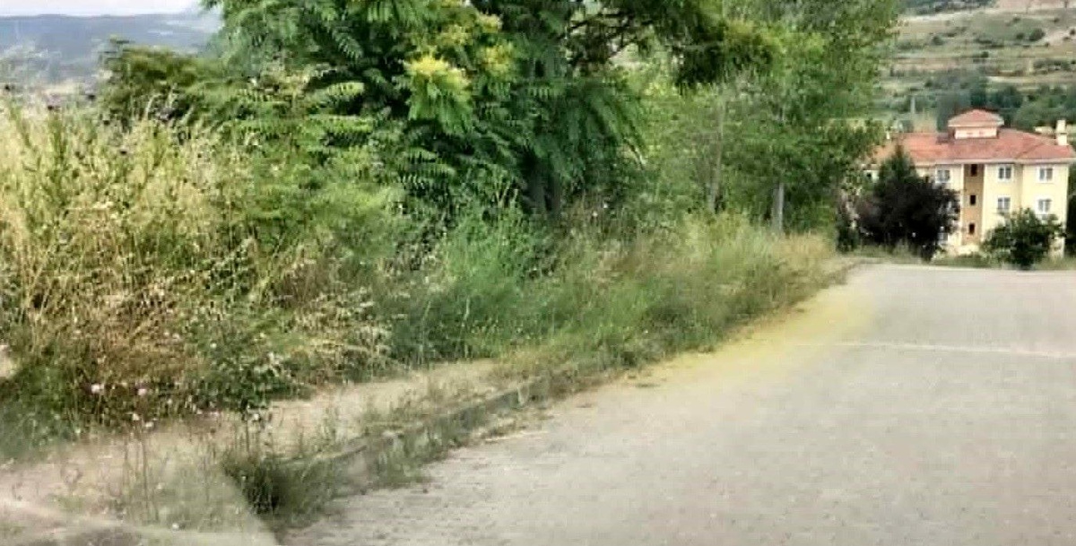 Kaldırımları otlar kaplayınca vatandaşların yılan korkusu başladı