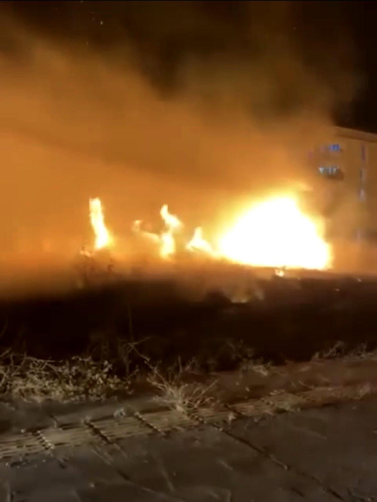 Nusaybin\'de Otluk Alanda Yangın