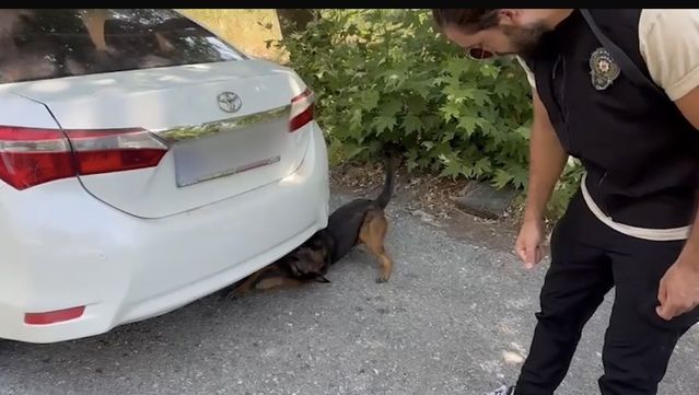Marmaris’te 5 Kg Skunk Ele Geçirildi