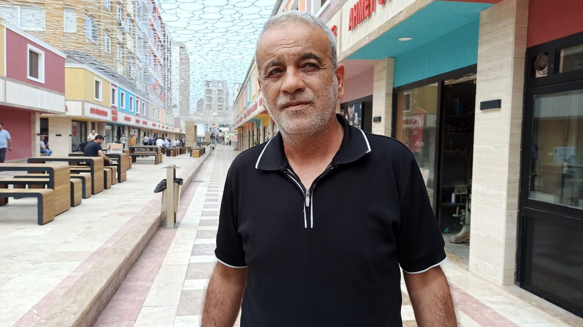 Sahipsiz Köpekler Kediyi Öldürdü