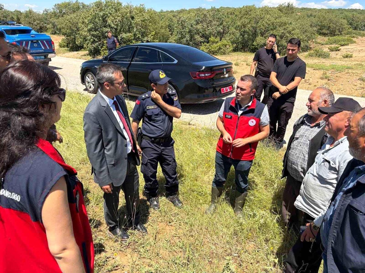 Afyon\'da Dolu Zararları Tespit Çalışmaları Devam Ediyor