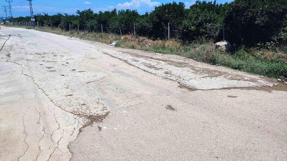 Vatandaş belediyeden umudu kesince cebinden para verip çukura beton döktü