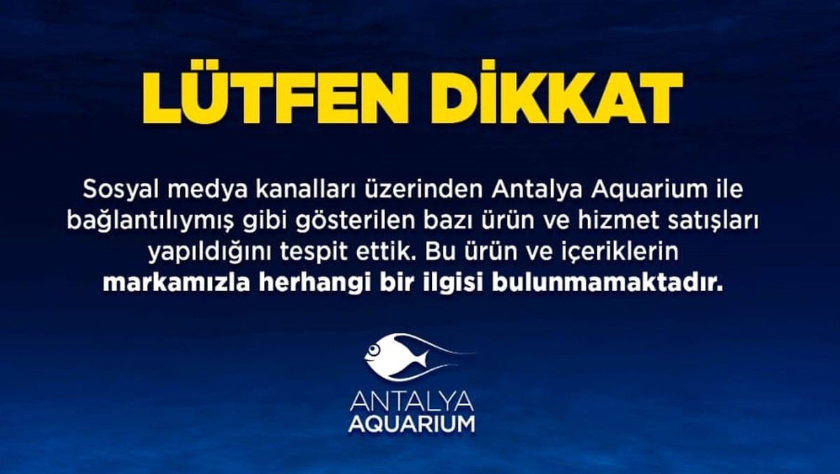 Sanal Dolandırıcılık Antalya\'da Artıyor