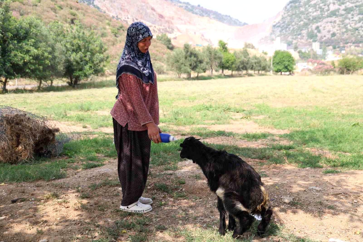 Görmeyen Oğlak, Hayriye Teyze ile Sevgi Buldu
