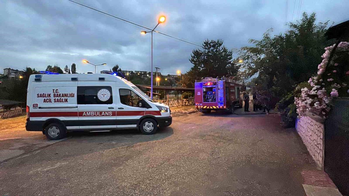 Karabük\'te Ardiye Yangını Kontrol Altına Alındı
