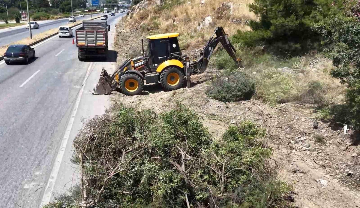 Söke\'de Orman Yangını Önleme Çalışmaları