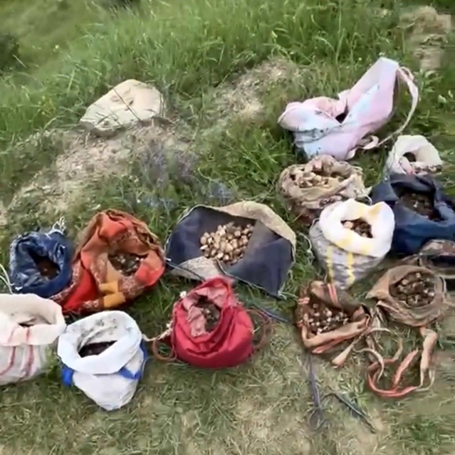 Çankırı’da Salep Orkidesi Toplayanlara Ceza