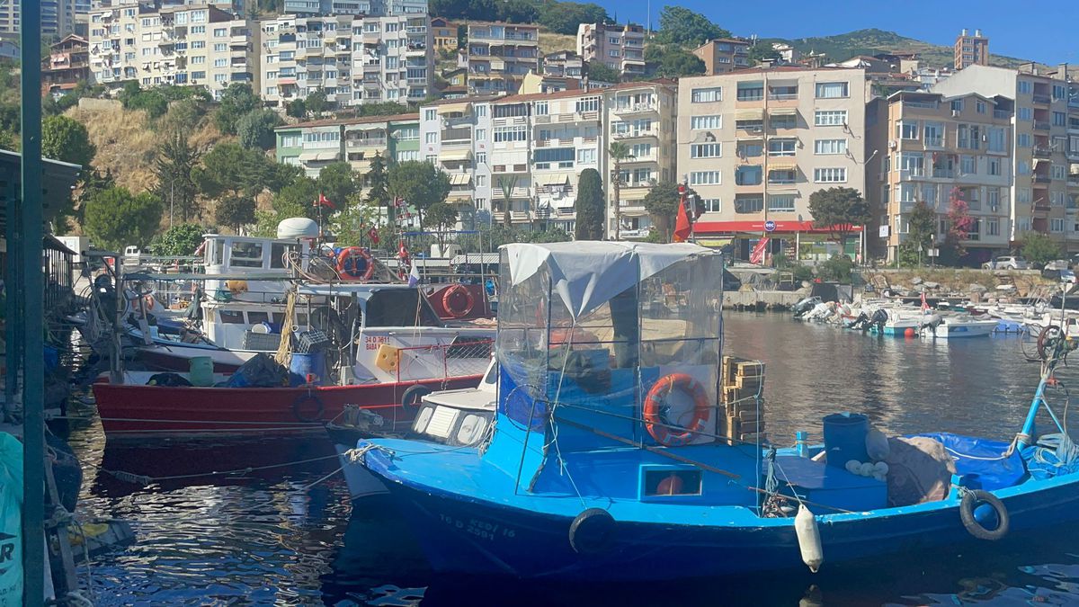 Marmara Denizi\'nde Alg Patlaması Endişesi
