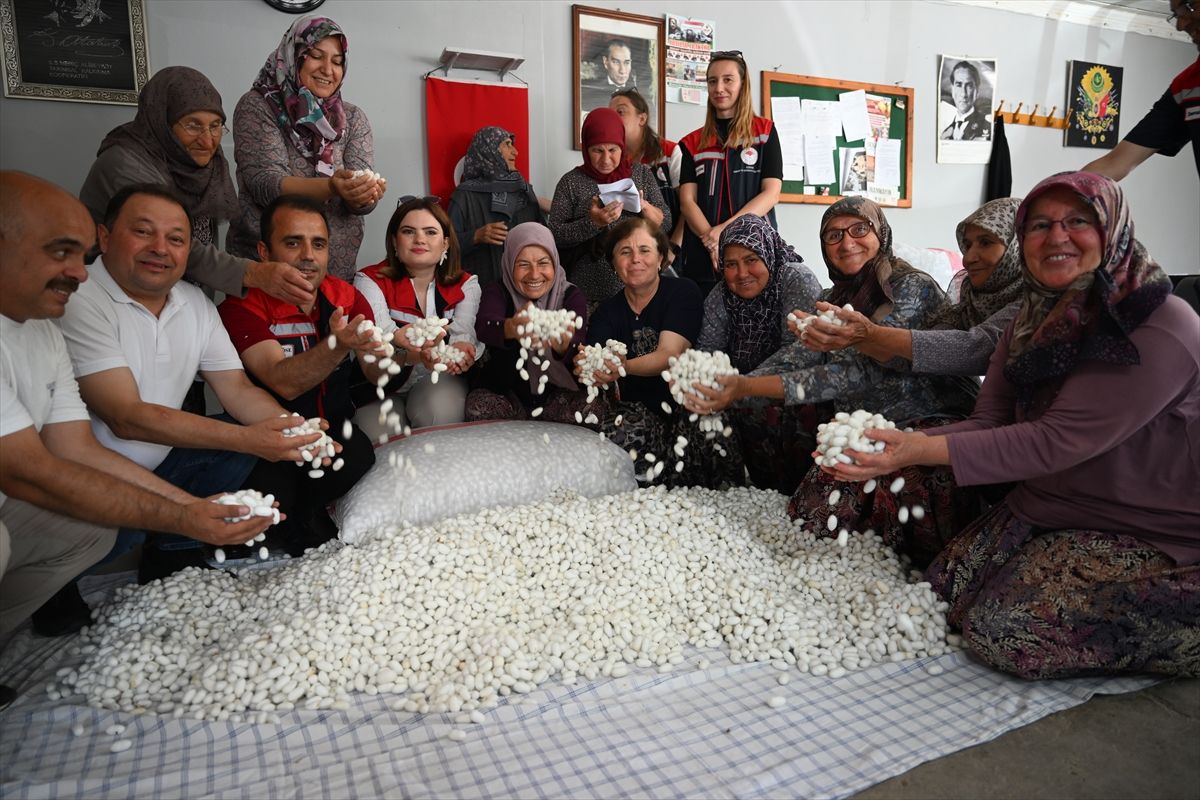 Edirne\'de İpek Böcekçiliği Yeniden Canlanıyor