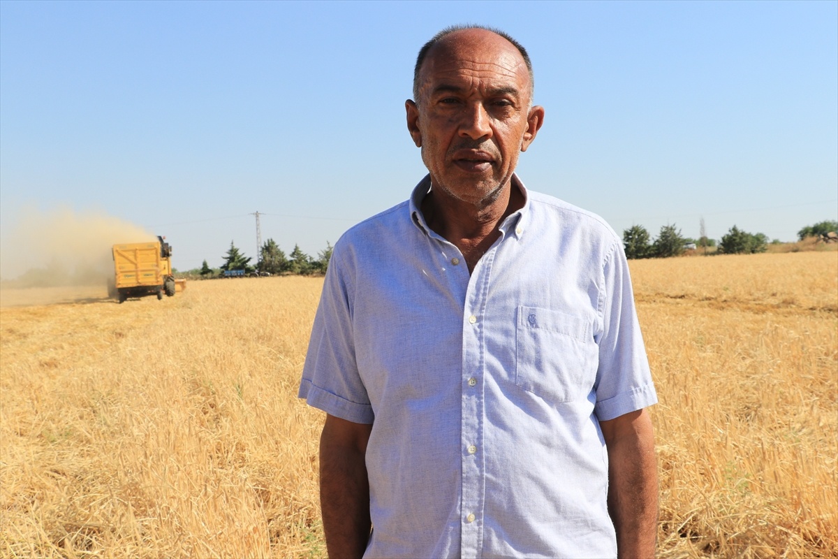 Kilis\'te Hasat Sezonu Başladı