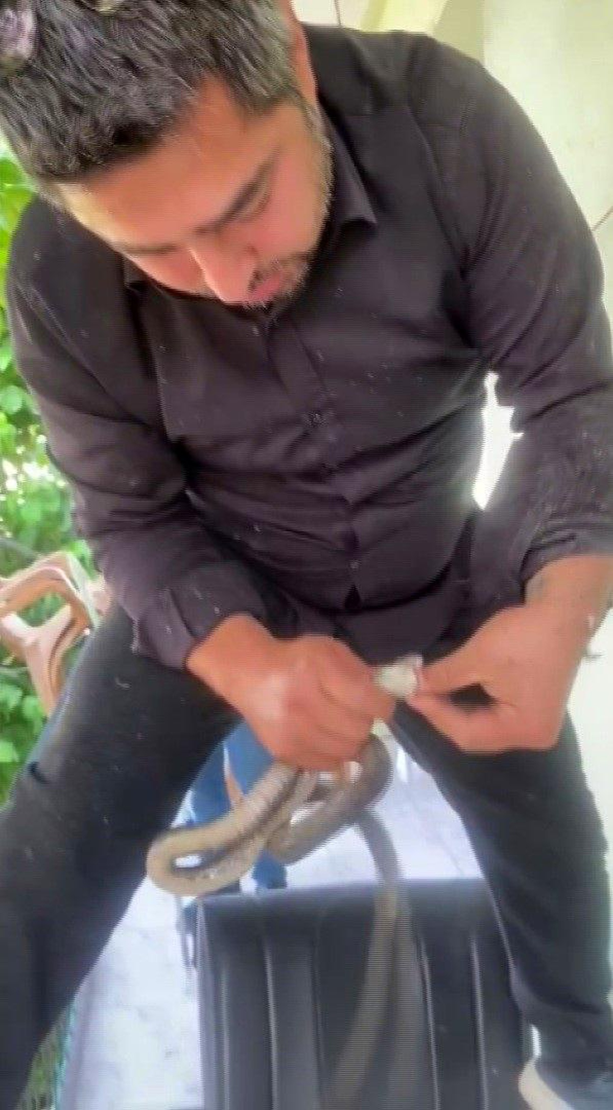 Yılancı Kemal, sikkeli yılanı yakaladı