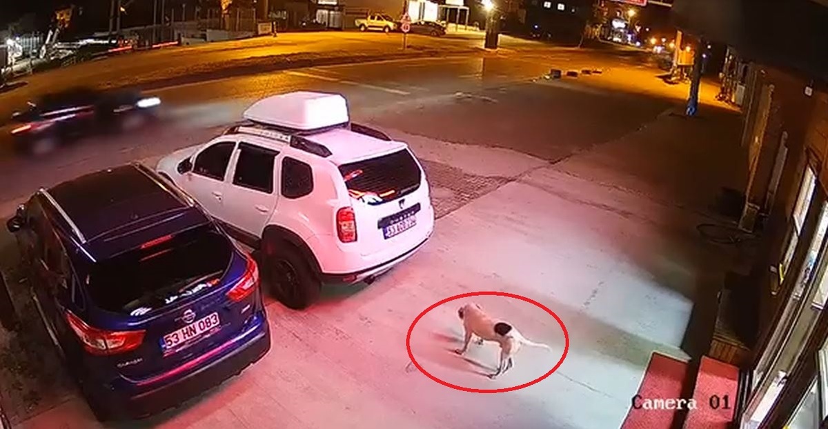 ATV Kazası: Orhan Kara Hayatını Kaybetti