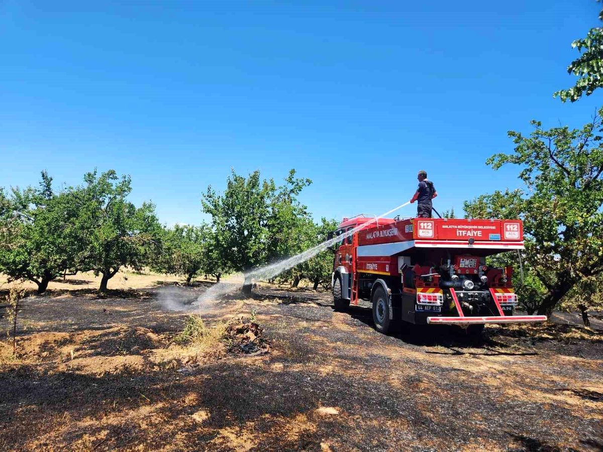 Malatya\'da bahçe ve orman yangını