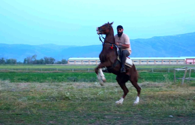 Mustafa Kaya’dan Atlara Eğitim