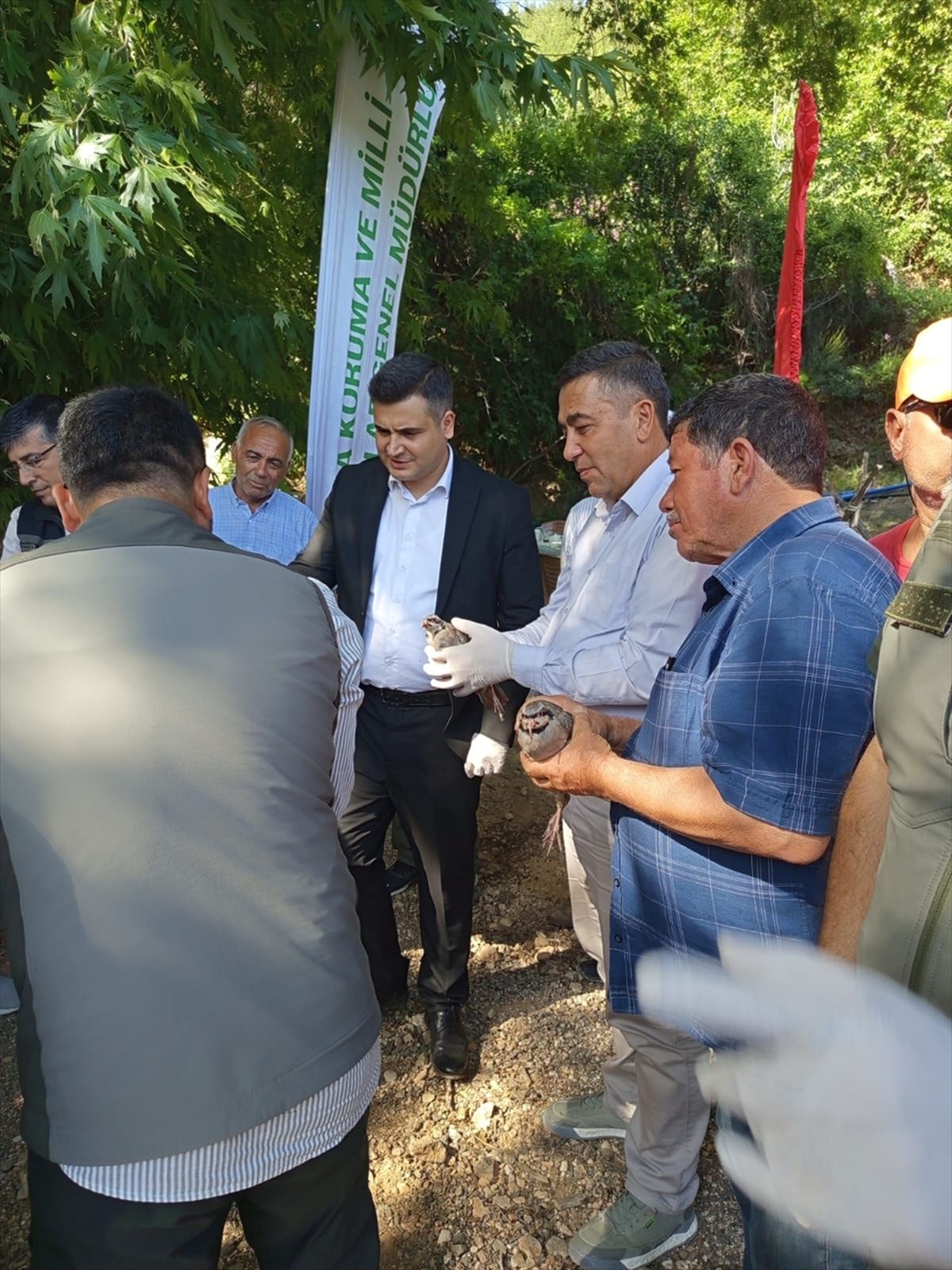 Gülnar\'da 400 Kınalı Keklik Doğaya Salındı